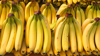 Is The Banana Going Extinct?